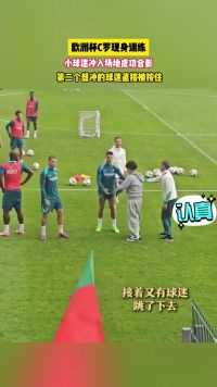 欧洲杯C罗现身训练 小球迷冲入场地成功合影 第二个想冲的球迷直接被按住