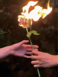 大胆去爱 这次别逃避了#滑板