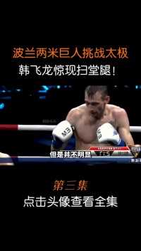 波兰巨人身高两米，来华挑战太极传统武术，结果被扫堂腿教做人！#太极#散打#搏击 (3)